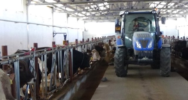1 Milyon 216 Bin Tl Hibe Desteği Alarak Damızlık Çiftliği Kurdu