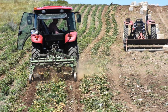 Tarlada 3,5-4 Liradan Satılıyor! Patates Üreticileri Tarih Verdi, Fiyatlar Düşecek