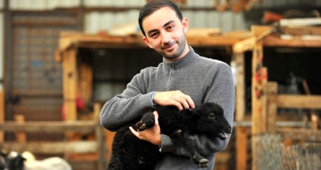Gazeteciliği Bıraktı, Çoklu Doğum Yapan Koyun Yetiştiriyor