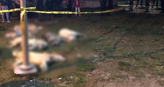 Yavaş'ın Talimatı Sonuç Verdi! Türkiye'de İlk Kez Bir Belediye, Köpek Zehirlenmesinde Müşteki Oldu