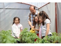 Öğrenciler, Okullarındaki Seralarda Çiftçi Oldu