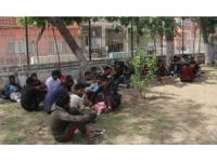 Adana’da 57 Kaçak Göçmen Yakalandı