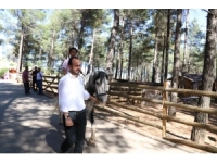 Kahramanmaraş’ta Mini Hayvanat Parkı