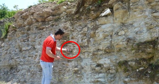 Zonguldak'ta Dinazorlar Çağından Kalma Fosiller Bulundu