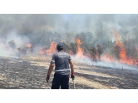 Bingöl’de 200 Dönüm Arazi Küle Döndü