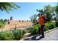 Altınköy İlaçlandı