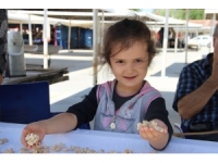 Kışın Lezzeti İçin Yazın Ter Döküyorlar
