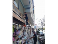 Tabelaya Sıkışan Güvercini İtfaiye Kurtardı