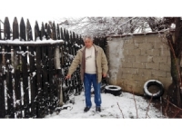 Aç Kalan Köpekler Küçükbaş Hayvanlara Saldırıyor