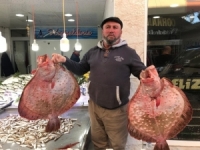 Balıkçıların Yüzü Kalkan Balıklarıyla Güldü