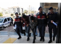 Alanya’da 10 Ton Muz Hırsızlığında 3 Şüpheli Serbest Bırakıldı