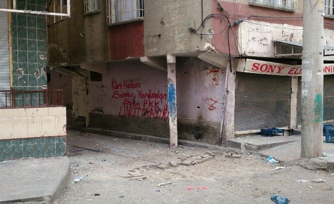 Diyarbakır Halkından PKK’ya Tokat Gibi Cevap