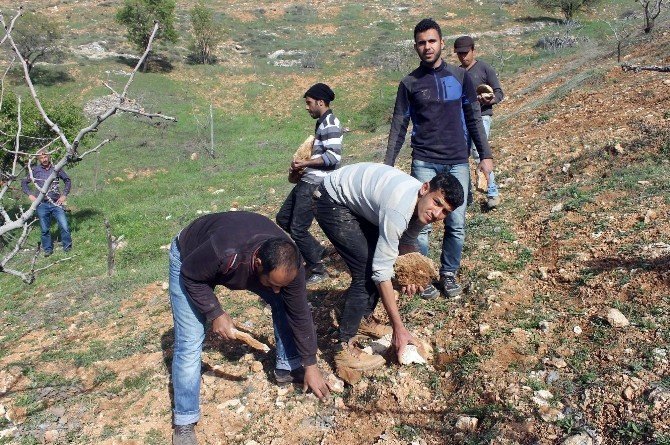 Suriyeli Gençler Ekmek Parası Peşinde