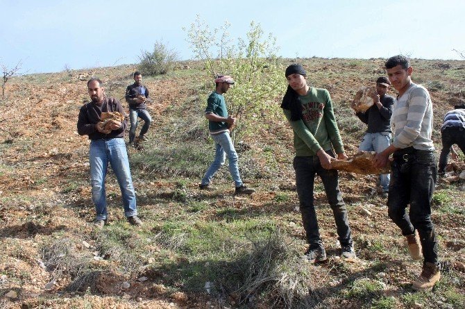 Suriyeli Gençler Ekmek Parası Peşinde