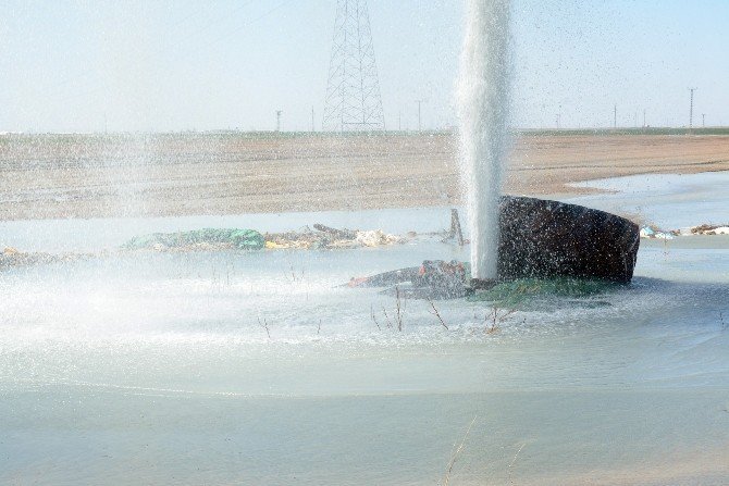 Aksaray’da Zehir 50 Metre Sıçradı