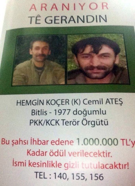 Başına 1 Milyon Lira Ödül Konulan PKK’lı Öldürüldü