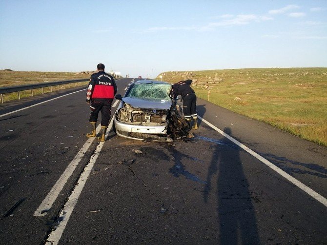 Şanlıurfa’da Kaza: 7 Yaralı