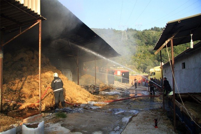 Bursa'da Ahırda Yangın Çıktı