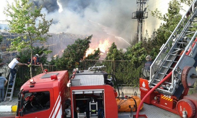İstanbul'da Korkutan Yangın