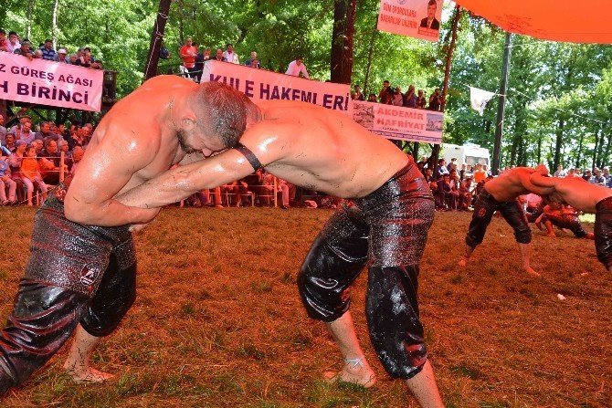 Muğla'da ''Geleneksel Yağlı Güreşleri'' Etkinliğinin Kazananı Belli Oldu