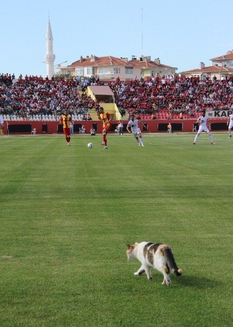 Zonguldak Kömürspor 2. Lig'e Yükseldi