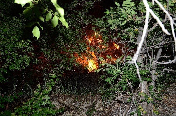 Malatya’da Kayısı Bahçesinde Yangın Çıktı
