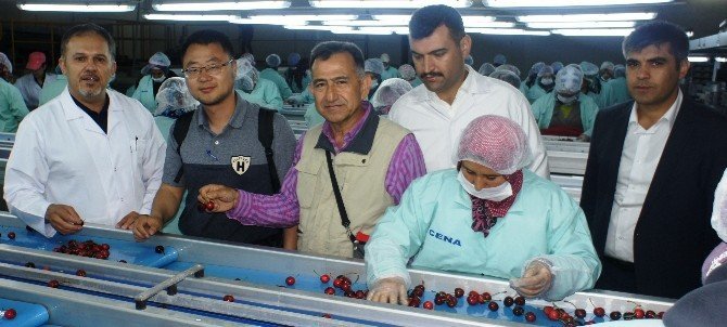 Yaş Sebze Ve Meyve İhracatçıları Çin'e Yöneldi