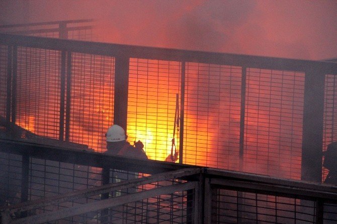 Yalova'da Halde Yangın Çıktı