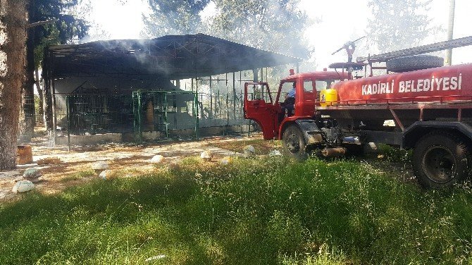 Osmaniye'de Bir Tesiste Yangın Çıktı