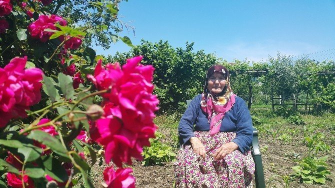 Faruk Özlü'nün Yeni Bakanı Anlattı