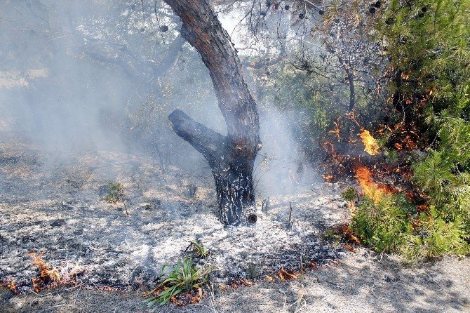 Lara Plajlar Bölgesinde Yangın Çıktı