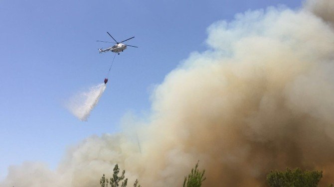 Antalya'da Orman Yangını: 1 Yaralı