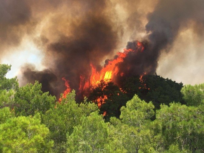 Antalya'da Orman Yangını: 1 Yaralı