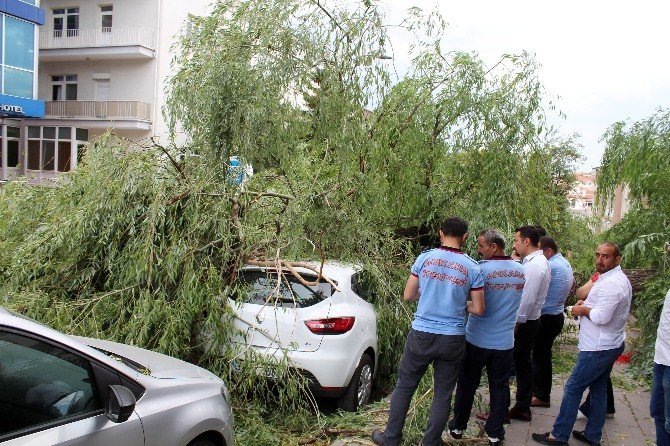 Ankara'da Etkisini Gösteren Fırtına Ağaç Devirdi