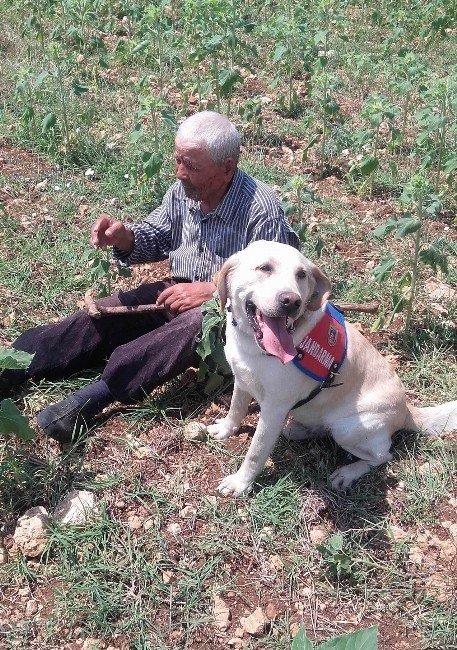 Kırklareli'de Kaybolan Yaşlı Adam Bulundu