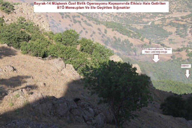 PKK'lı Teröristin İtirafı Kan Dondurdu