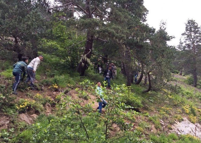 Giresun’da Helikopter Kazası 6 Ölü 9 Yaralı