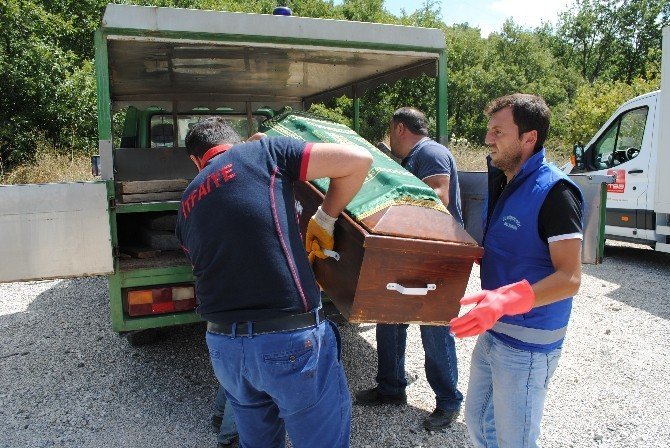 Amasya’da Feci Kaza: 4 Ölü