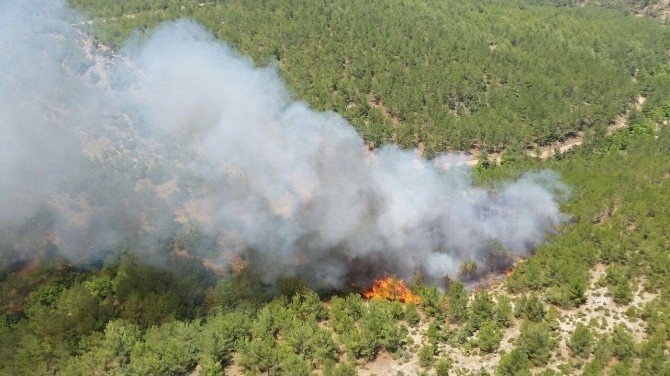 Çanakkale Kayışlar Köyünde Yangın Çıktı