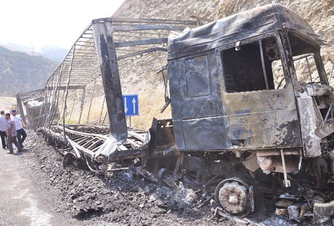 PKK'lılar Yol Kesip 11 Aracı Ateşe Verdi