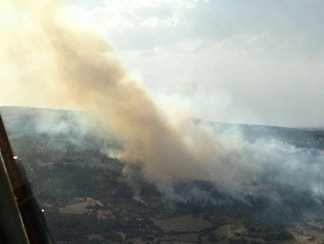 Denizli’de Yangın 10 Hektarlık Alanı Kül Etti
