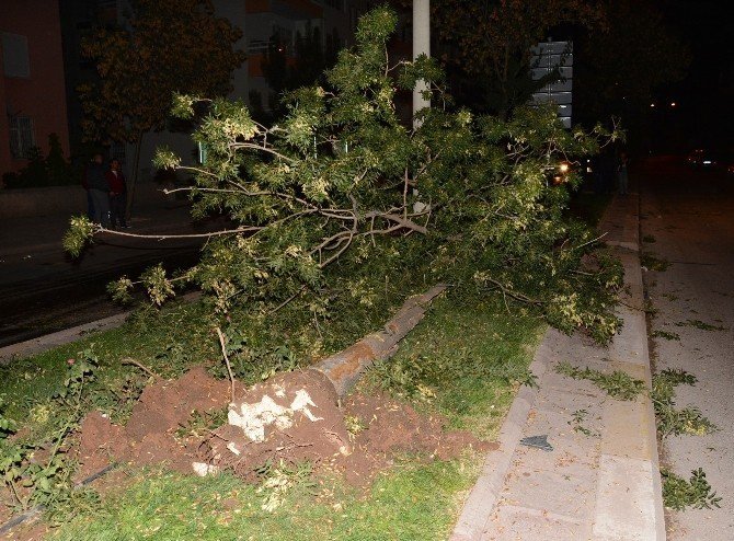 Aksaray'da Trafik Kazası: 3 Yaralı