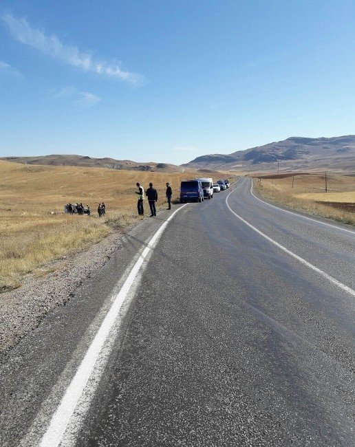 Sivas'ta Otomobil Tarlaya Uçtu: 1 Ölü, 2 Yaralı