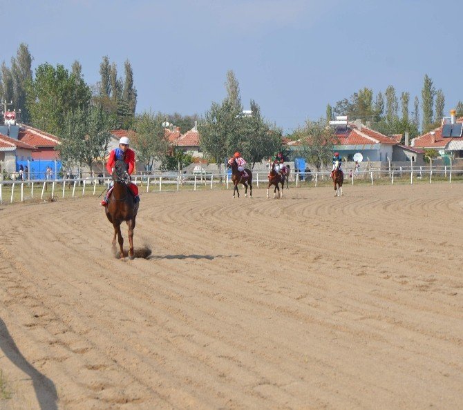 Mahmudiye At Yarışları Gerçekleşti