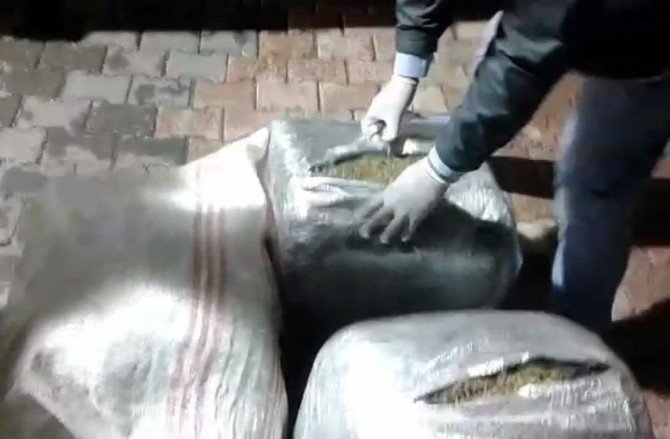 Şanlıurfa'da 54 kilo Esrar Ele Geçirildi