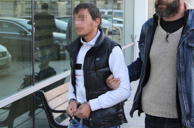 Samsun'da Bonzai Satıcısına Tutuklama Kararı