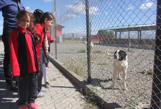 Öğrenciler, Bakım Evindeki Sokak Hayvanlarını Ziyaret Etti