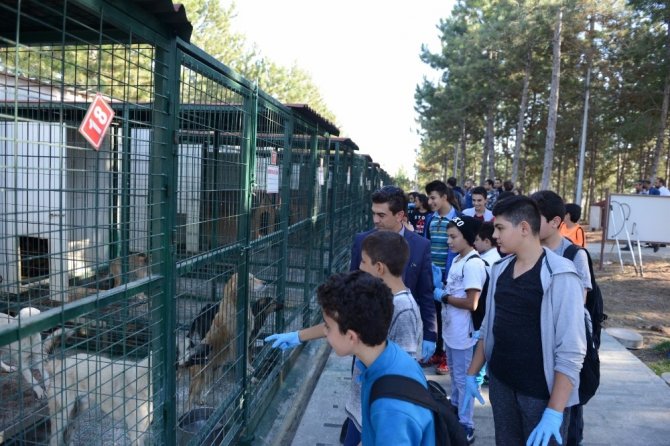 Çorumlu Öğrencilerden Hayvan Barınağına Ziyaret