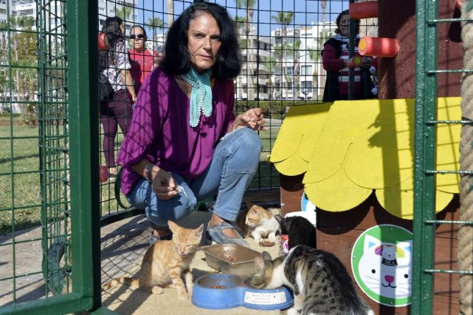 Mersin’de Hayvanları Koruma Günü’nde Kedi Ve Köpeklere Mama Dağıtıldı