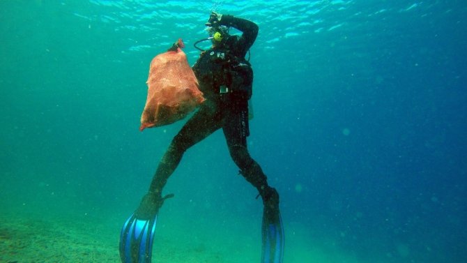 Başkan Kocadon Deniz Dibine Dalıp Çöp Topladı